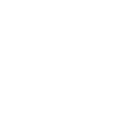 services provided by magnus   software